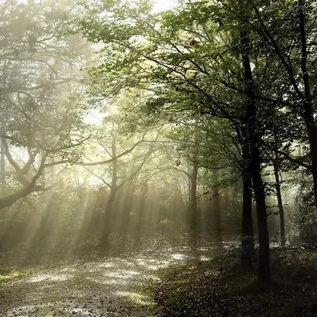 Avec Superbe Vue 5min A Pied Des Thermes *